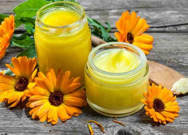 Calendula Salve With Coconut Oil