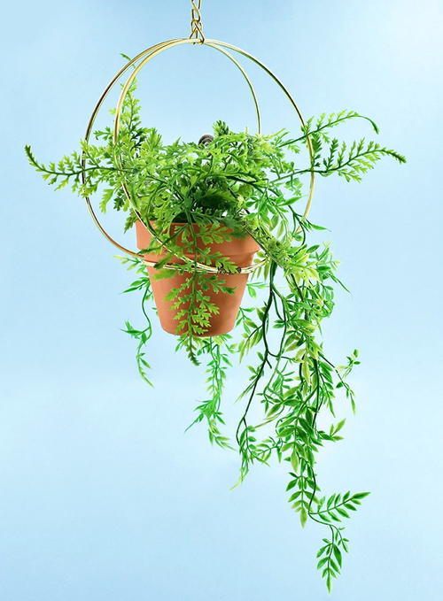 DIY Hanging Planter with Gold Accents