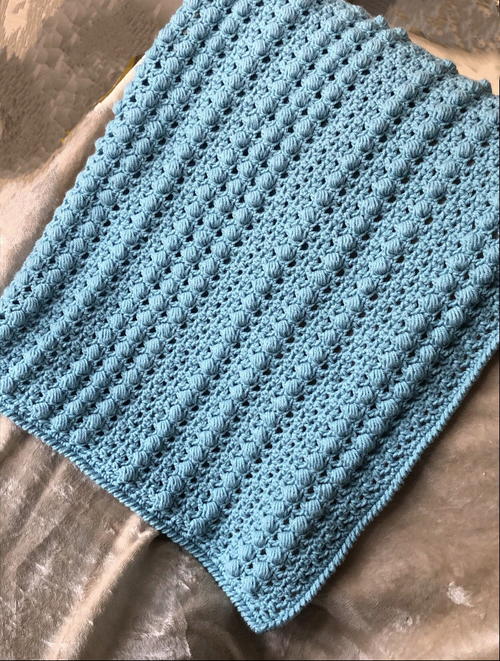 Berry Bliss Baby Blanket