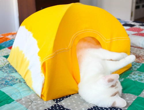 No-Sew DIY Cat Bed