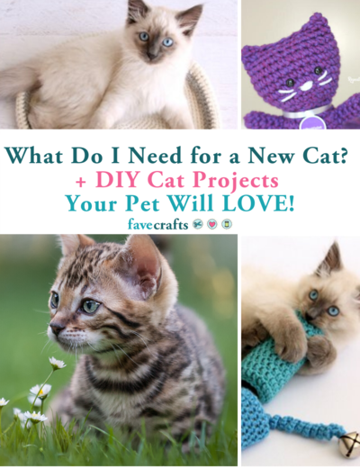 What Do I Need for a New Cat? + 6 DIY Cat Projects