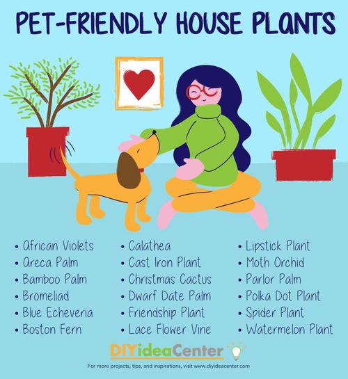 Pet-Friendly House Plants Free Printable