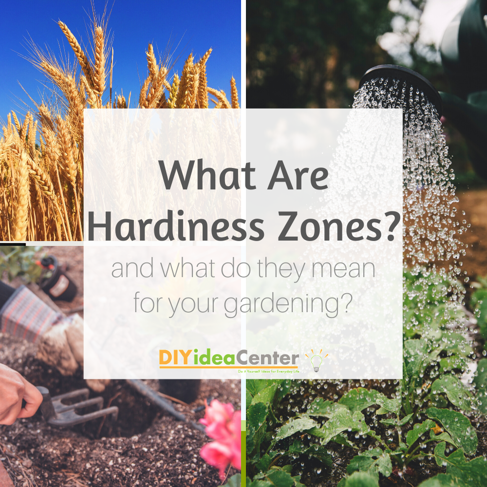 What are Hardiness Zones? | DIYIdeaCenter.com