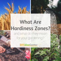 What are Hardiness Zones?