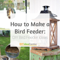 How to Make a Bird Feeder: DIY Bird Feeder Ideas
