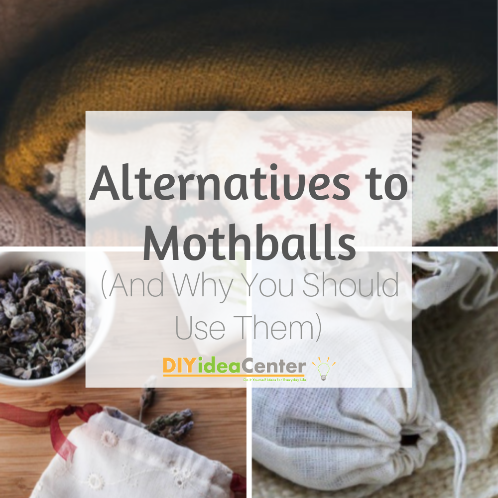 Natural Mothball Alternatives for Storage