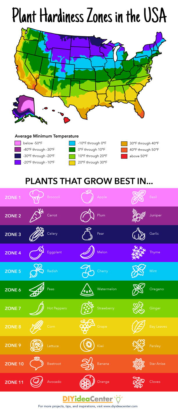 Plant Hardiness Zones Free Printable DIYIdeaCenter