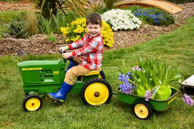 Show Your Kids How to Plant Flowers