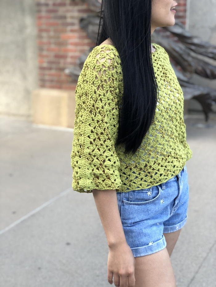 Lacy Crochet Sweater Top | AllFreeCrochet.com