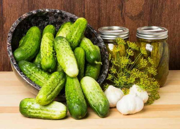 Old Fashioned Dill Pickle Recipe