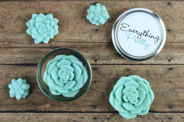 Bug Repellent Solid Lotion | CheapThriftyLiving.com