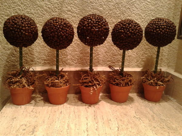 Coffee Topiary