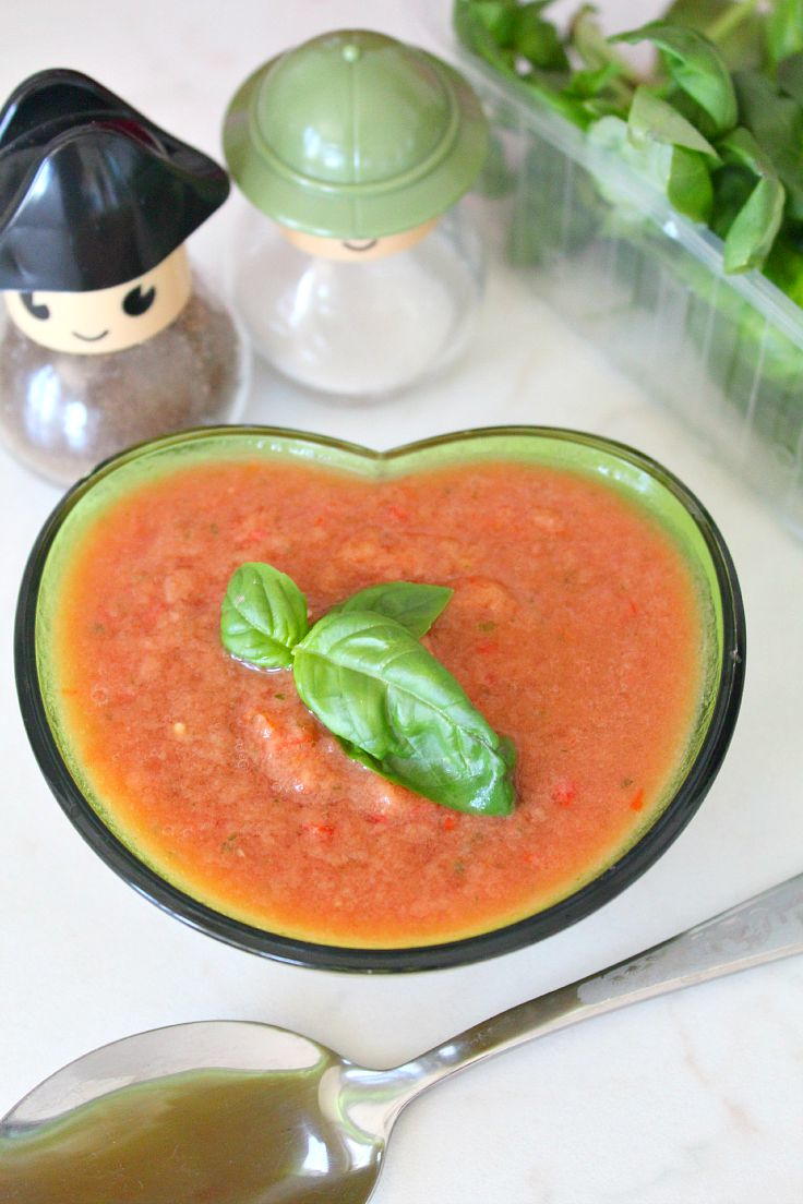 Best Gazpacho Recipe | CheapThriftyLiving.com