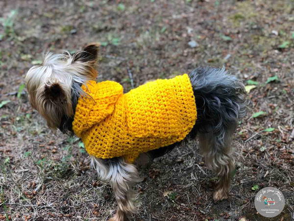 Small Dog Hoodie Sweater