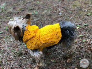 Crochet Dog Sweater In Medium | AllFreeCrochet.com