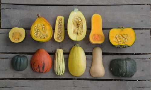 How to Grow Winter Squash