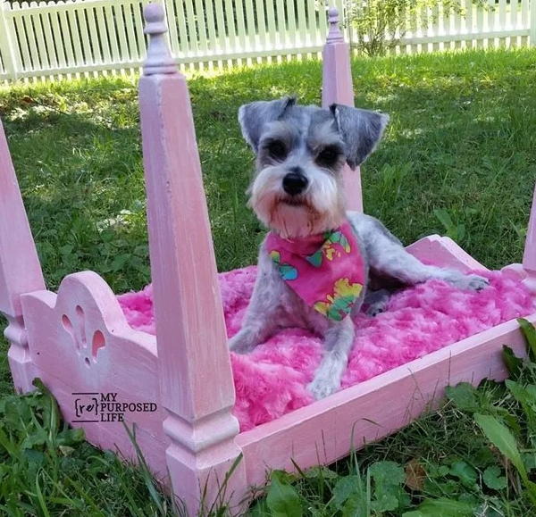 DIY Mini Dog Bed | DIYIdeaCenter.com