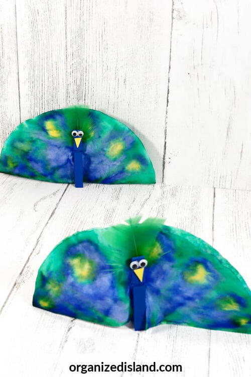 Peacock Craft Idea