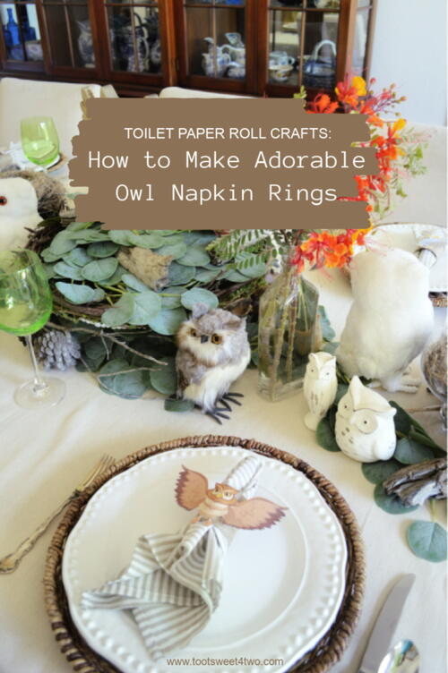 Toilet Paper Roll Crafts:  How To Make Adorable Owl Napkin Rings