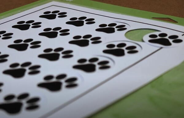 Learn To Make Stickers With Your Cricut