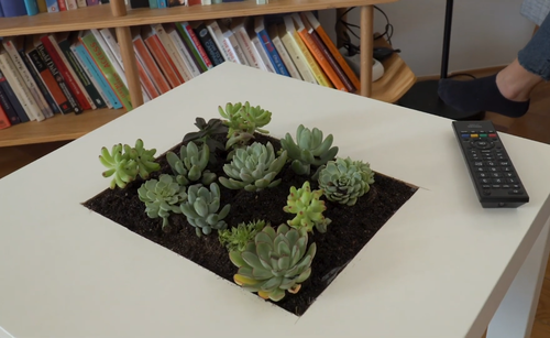 DIY Succulent Table