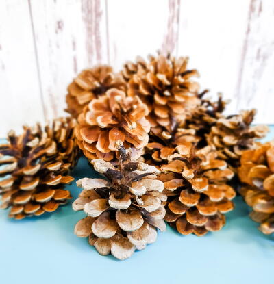 How To Make Painted Pine Cones Angel Wings Craft - Pillarboxblue