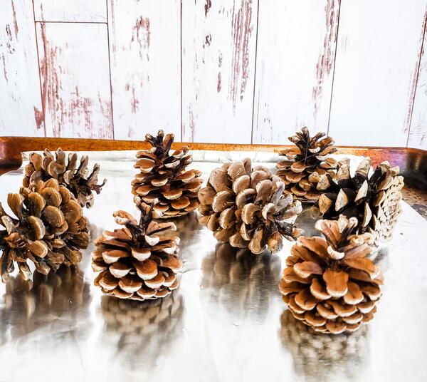 Pine cones on a baking sheet