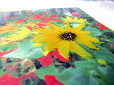 Free Printable Vellum Sunflower Greeting Card