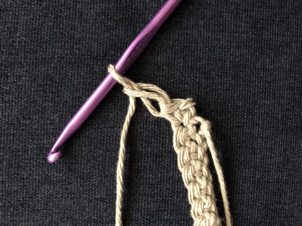 Image shows step 3 for crocheting the Solomon's Knot stitch.