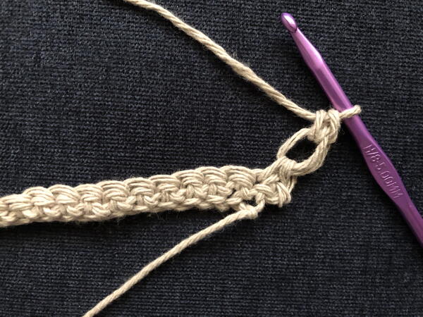Image shows step 4 for crocheting the Solomon's Knot stitch.