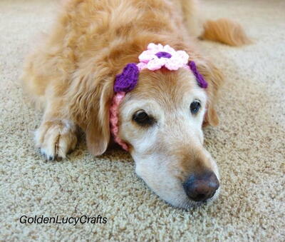 Crochet Flower And Hearts Headband For Dog