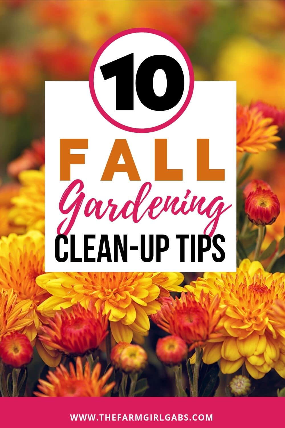 10 Fall Garden Clean Up Tips DIYIdeaCenter 10-fall-garden-clean-up-tips-diyideacenter