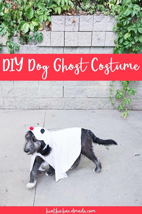 Diy Dog Ghost Costume
