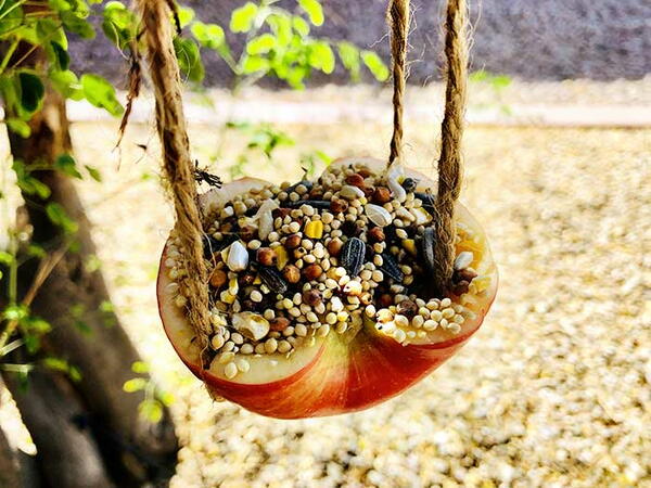 Easy Apple Bird Feeder