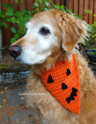 Pumpkin Face Crochet Dog Bandana | AllFreeCrochet.com