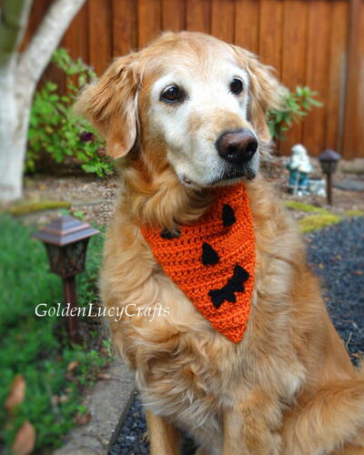 Jack O’lantern Pumpkin Face Crochet Dog Bandana