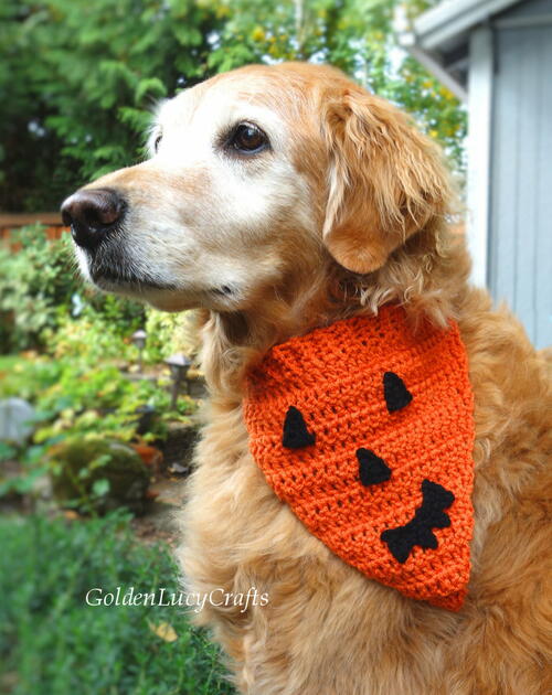 Jack O’lantern Pumpkin Face Crochet Dog Bandana