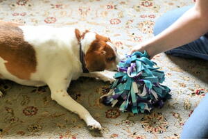 DIY Snuffle Ball For Dogs