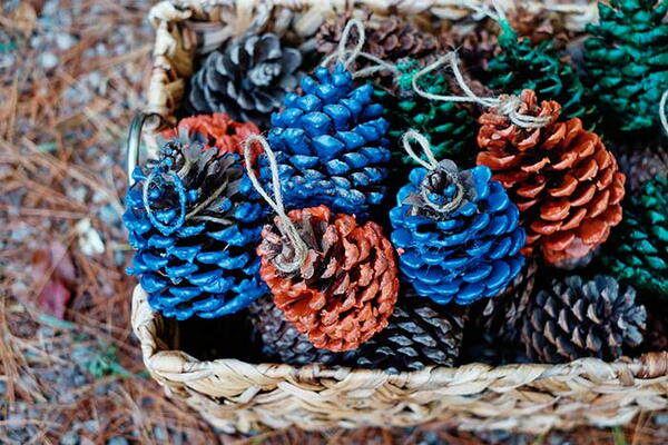 Diy Pinecone Fire Starters