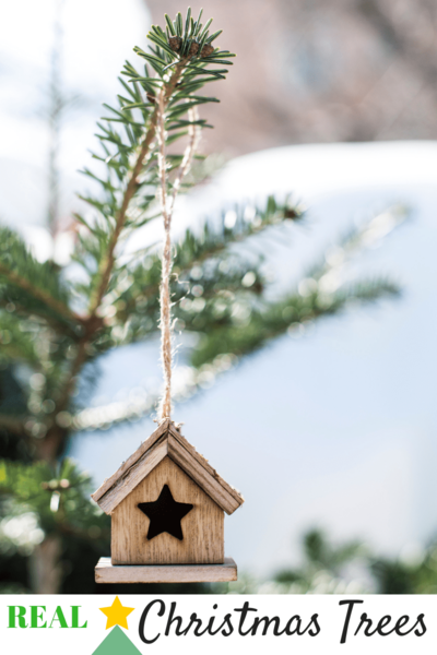 Reasons That You Should Buy A Real Christmas Tree & How To Care For It