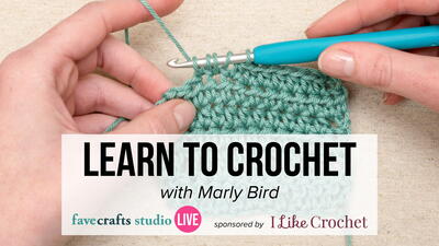 Learn to Crochet with Marly Bird