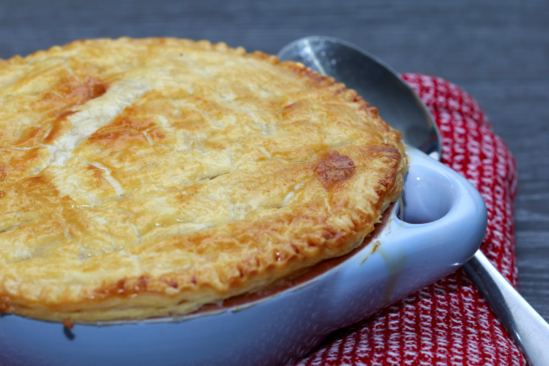 Delicious Turkey Pot Pie Recipe | RecipeLion.com