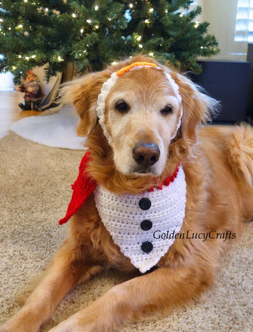 Crochet Snowman Christmas Dog Bandana And Headband