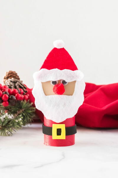 Santa Toilet Paper Roll Craft