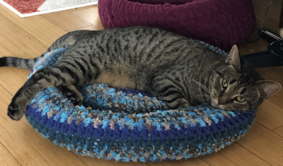 Easy Crochet Cat Bed Pattern