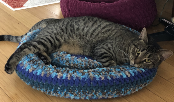Project Update: Super Bulky Crocheted Cat Bed with Bernat Blanket