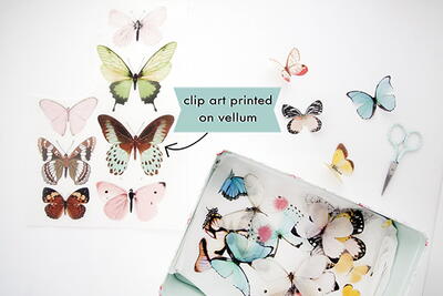 Free Printable Butterfly Clipart + Project Pdf