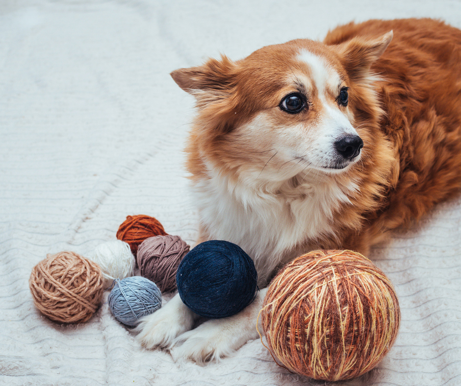 8 Free Animal Knitting Charts | AllFreeKnitting.com