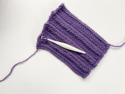 Crochet Braid Stitch Tutorial