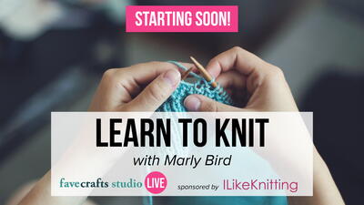 Learn to Knit with Marly Bird